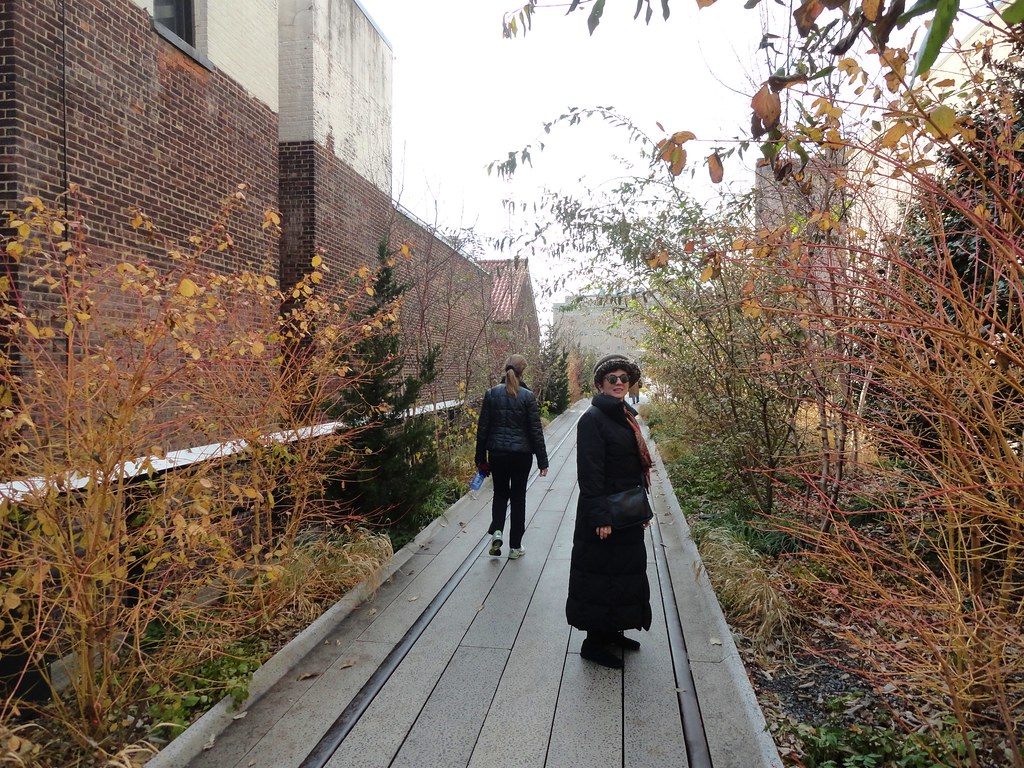 Kat strolls through winter plants, High Line Park, New York City